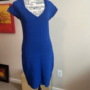 Elegant Blue V-Neck Dress